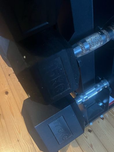 dumbells, rack and bench