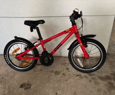 Frog bike 44