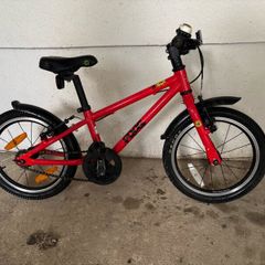 Frog bike 44