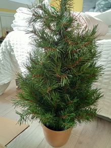 3ft Potted Christmas Tree