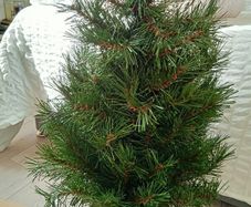 3ft Potted Christmas Tree