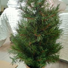3ft Potted Christmas Tree