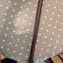 Walking stick Image 6