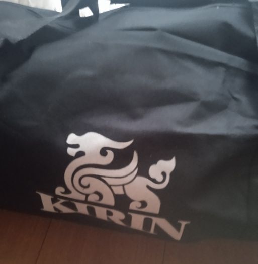 Travel bag