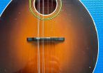 Levin Mandolin