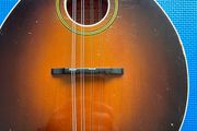 Levin Mandolin