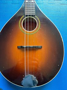Levin Mandolin