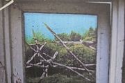 Guillemots - Through The Windowpane.