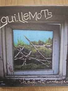 Guillemots - Through The Windowpane.