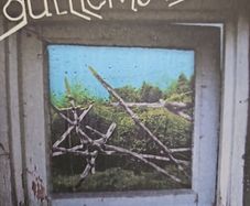 Guillemots - Through The Windowpane.