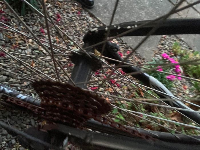 Bike Adult Shimano Gear