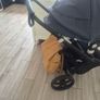 Bugaboo Fox Cub and Cybex Car Seat  Brand New Bassinet Image 4