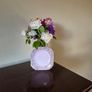 Royal Tara Vintage 1940's fine bone china plates Image 2