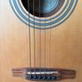 Fender M1 model Image 2