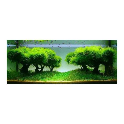 Seachem Flourish Glue 2x 4g