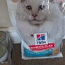 Hills cat  dry food Image 2