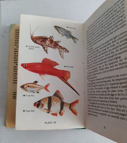 Vintage book tropical fish 1976