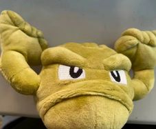 Pokemon Geodude 18cm plush toy