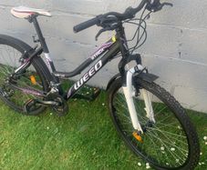 ladies bike