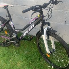 ladies bike