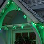 Christmas Holly LED Indoor/ Outdoor Lights Image 2