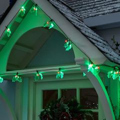 Christmas Holly LED Indoor/ Outdoor Lights
