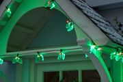 Christmas Holly LED Indoor/ Outdoor Lights