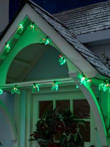 Christmas Holly LED Indoor/ Outdoor Lights