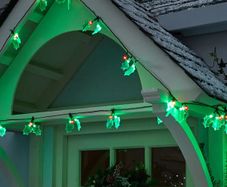 Christmas Holly LED Indoor/ Outdoor Lights