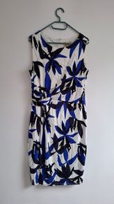 Phase Eight Dress