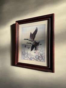 picture in nice frame