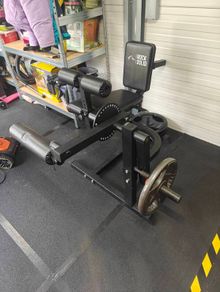 Leg Extension/Curl (plate loaded)