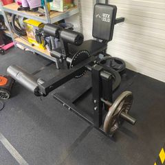 Leg Extension/Curl (plate loaded)