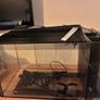 Fluval Sea EVO Marine Image 3