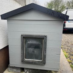 Dog House