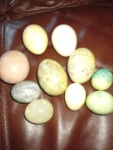 Stone eggs