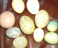 Stone eggs