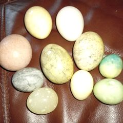 Stone eggs