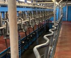 DeLaval Milking Parlour 16/32