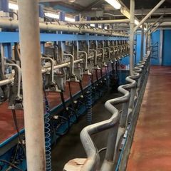 DeLaval Milking Parlour 16/32