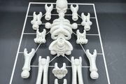 Build-Your-Own Skeleton Figure