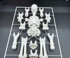 Build-Your-Own Skeleton Figure