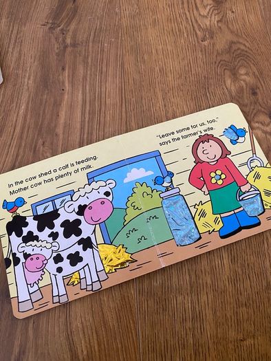 Sparkly Board Books | Farmyard Babies & On Safari