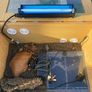reptile vivarium Image 4