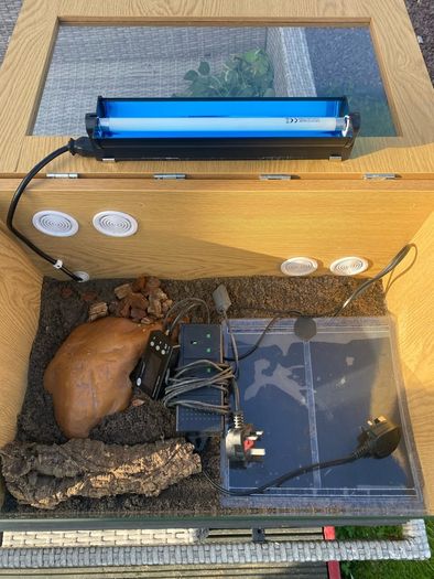 reptile vivarium