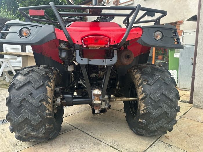 Quadzilla Linhai 309