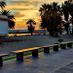 yreddy