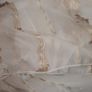 Luxurious Gold Embellished Voile Window Curtain Image 8