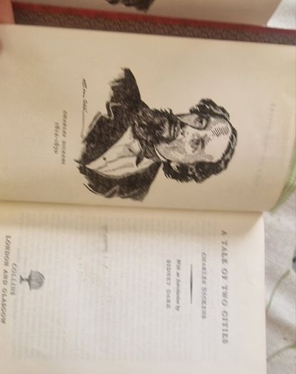 Vintage Charles Dickens books 6