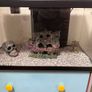 Heated fish tank, approx 42 L , with some accessories Image 3